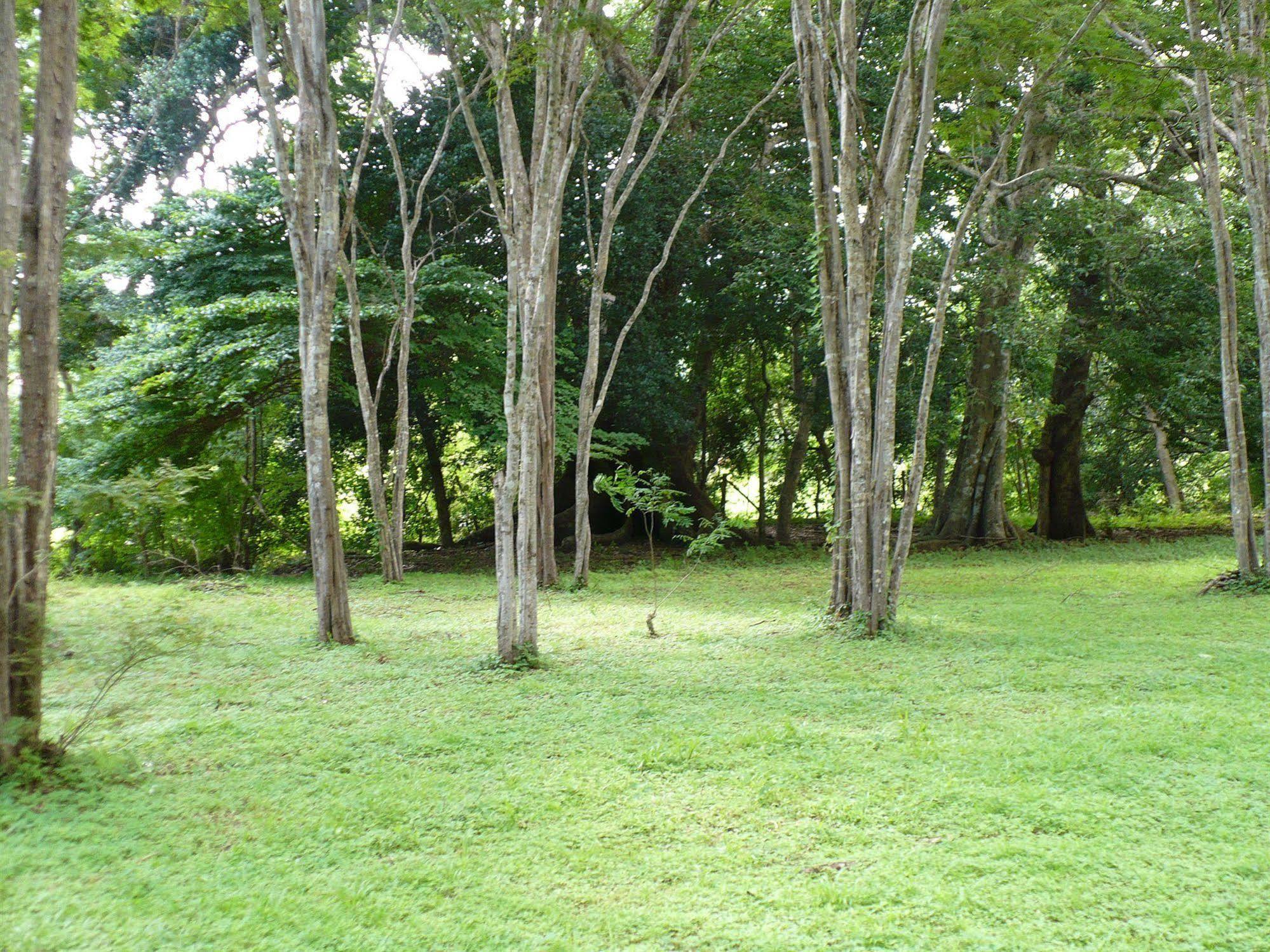 Finca Buena Fuente Residence Hotel Никойя Экстерьер фото